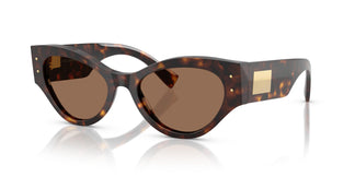 Dolce & Gabbana DG4480 502/73 53