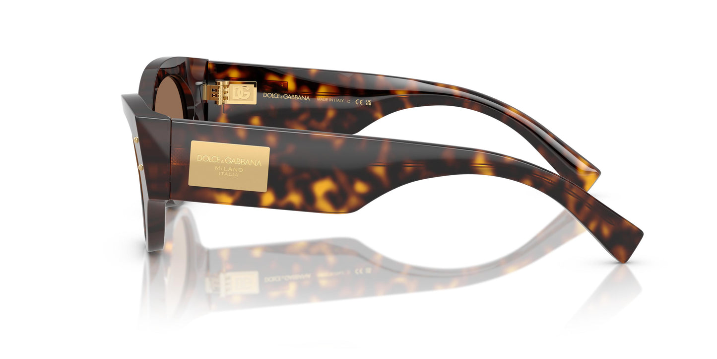 Dolce & Gabbana DG4480 502/73 53