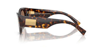 Dolce & Gabbana DG4480 502/73 53