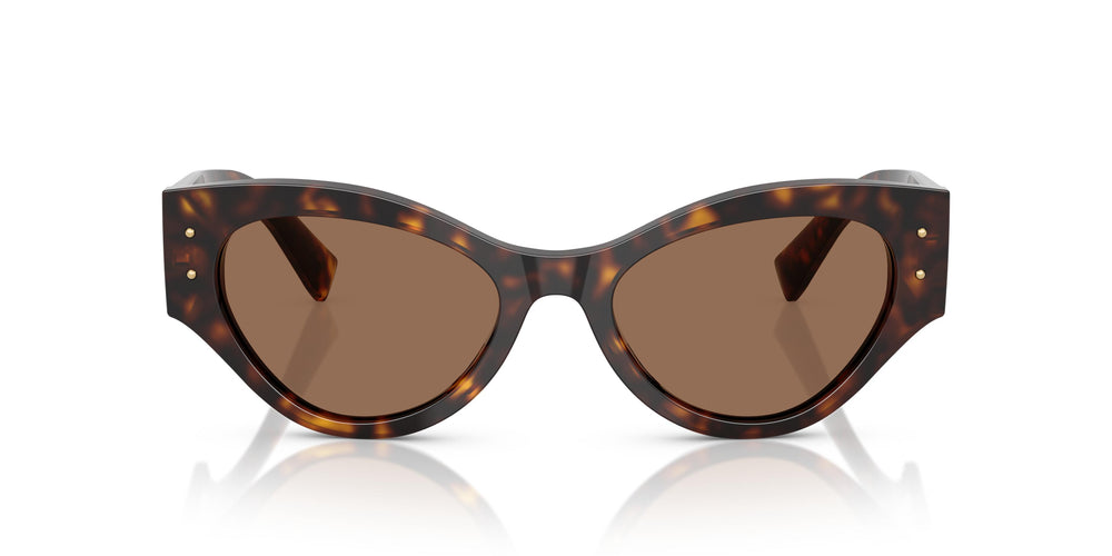 Dolce & Gabbana DG4480 502/73 53