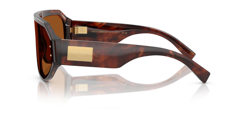 Dolce & Gabbana DG4481 322273 0