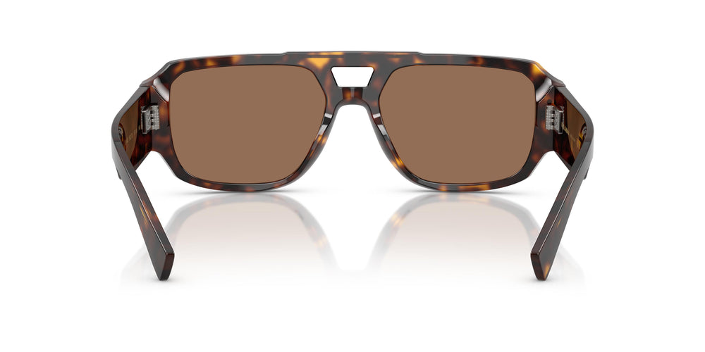 Dolce & Gabbana DG4482 502/73 57