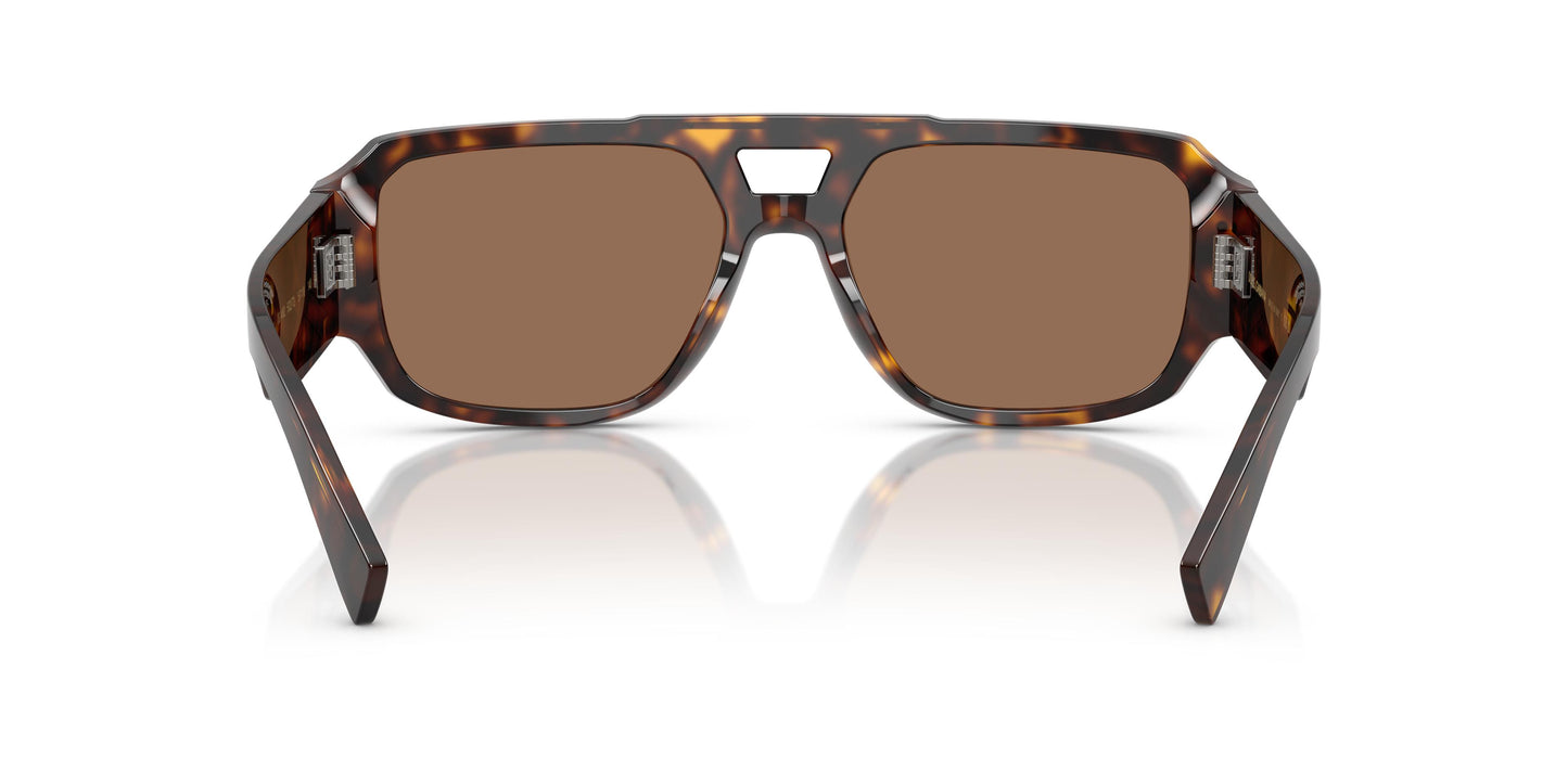 Dolce & Gabbana DG4482 502/73 57