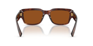 Dolce & Gabbana DG4483 322273 54