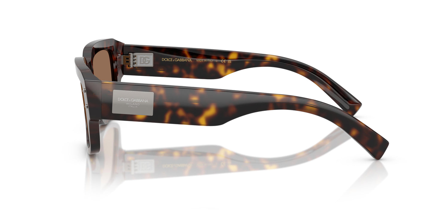 Dolce & Gabbana DG4483 502/73 54