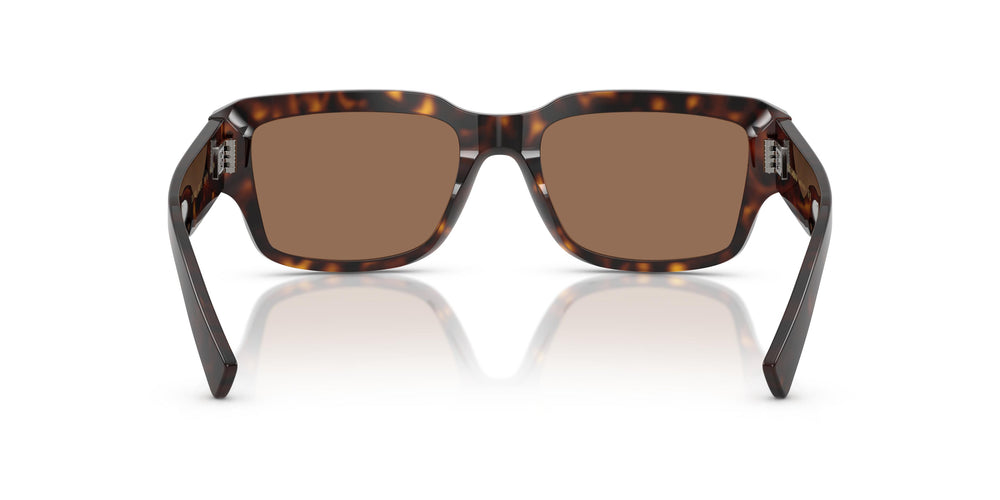 Dolce & Gabbana DG4483 502/73 54