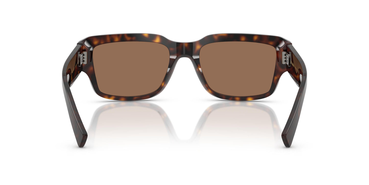 Dolce & Gabbana DG4483 502/73 54