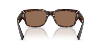 Dolce & Gabbana DG4483 502/73 54