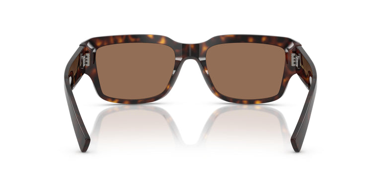 Dolce & Gabbana DG4483 502/73 54