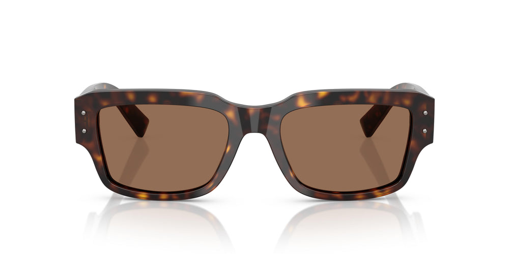 Dolce & Gabbana DG4483 502/73 54