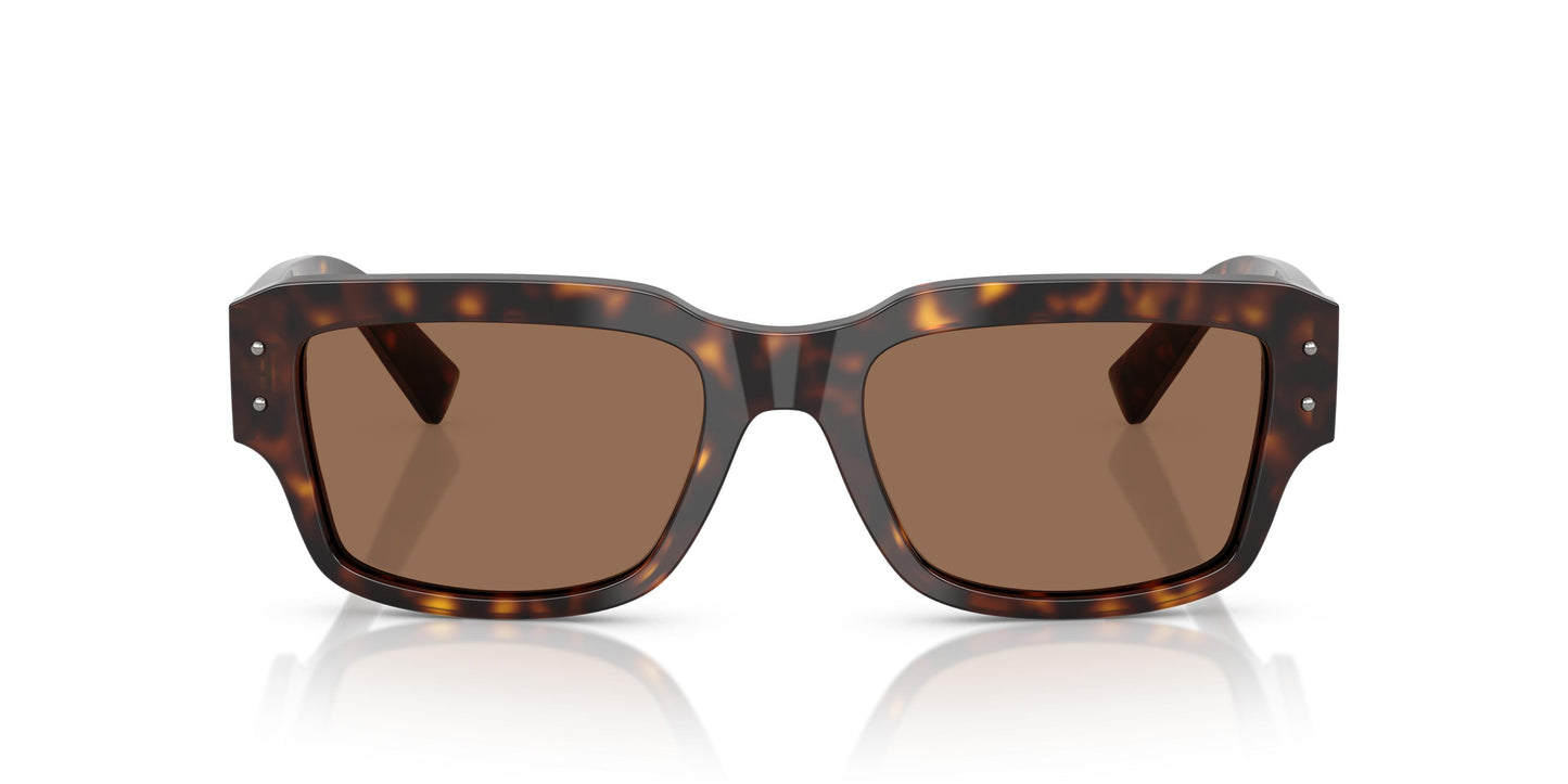 Dolce & Gabbana DG4483 502/73 54