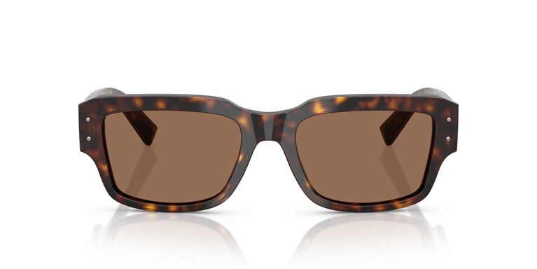 Dolce & Gabbana DG4483 502/73 54