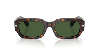 Dolce & Gabbana DG4485 502/71 54
