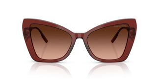 Dolce & Gabbana DG4489 30455M 55