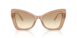 Dolce & Gabbana DG4489 343213 55