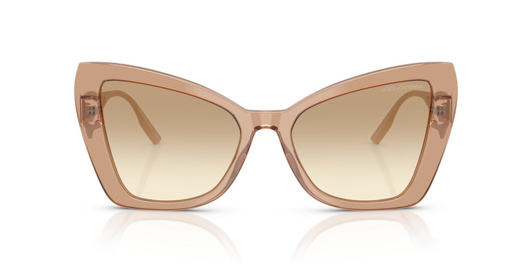 Dolce & Gabbana DG4489 343213 55