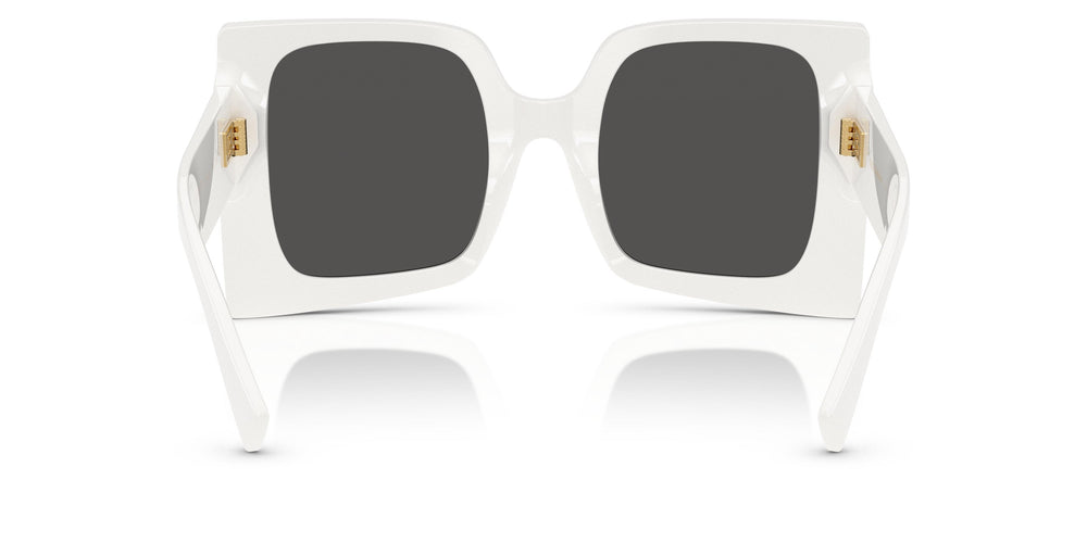 Dolce & Gabbana DG4490 331287 53