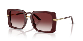 Dolce & Gabbana DG4491 30918H 52