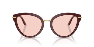 Dolce & Gabbana DG4492 3091P5 55
