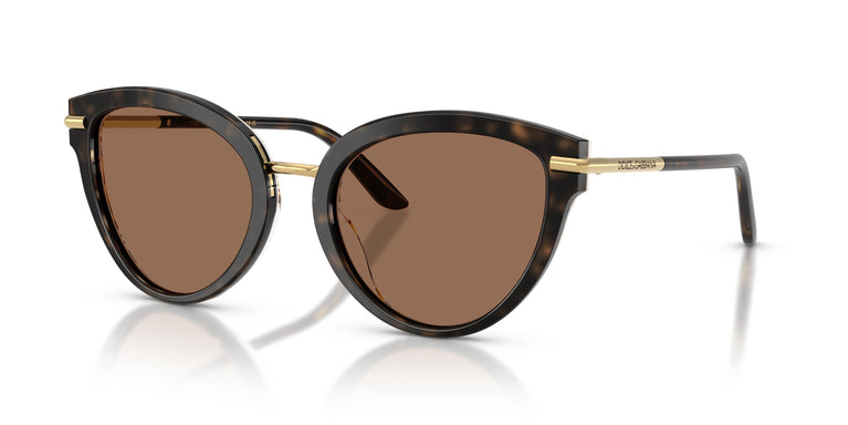 Dolce & Gabbana DG4492 321713 55