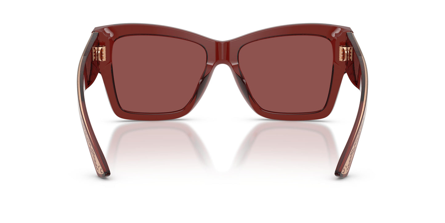 Dolce & Gabbana DG4493 304575 55