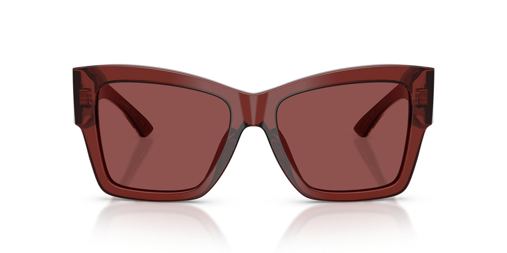 Dolce & Gabbana DG4493 304575 55