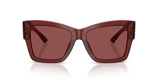 Dolce & Gabbana DG4493 304575 55