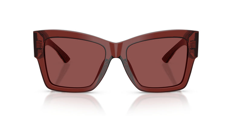 Dolce & Gabbana DG4493 304575 55