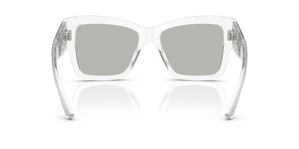 Dolce & Gabbana DG4493 31338V 55
