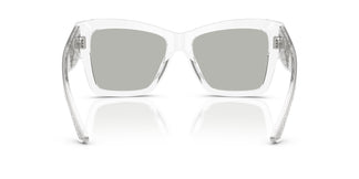 Dolce & Gabbana DG4493 31338V 55