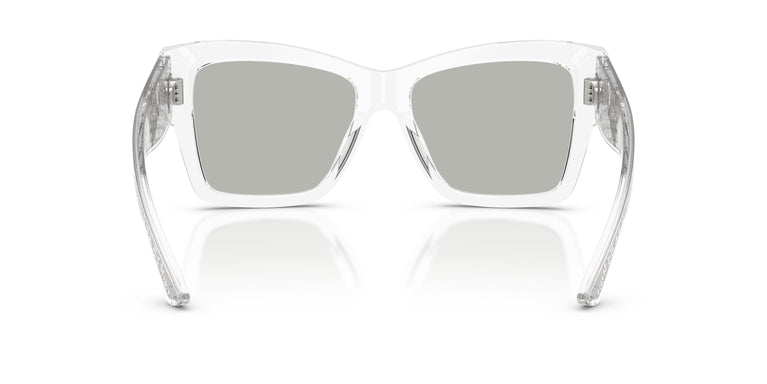 Dolce & Gabbana DG4493 31338V 55