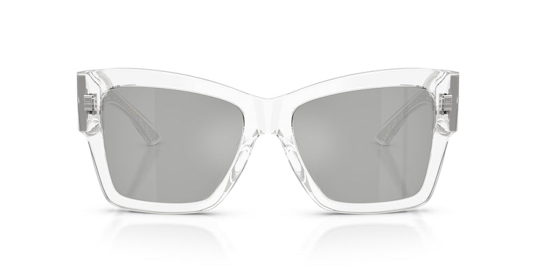 Dolce & Gabbana DG4493 31338V 55