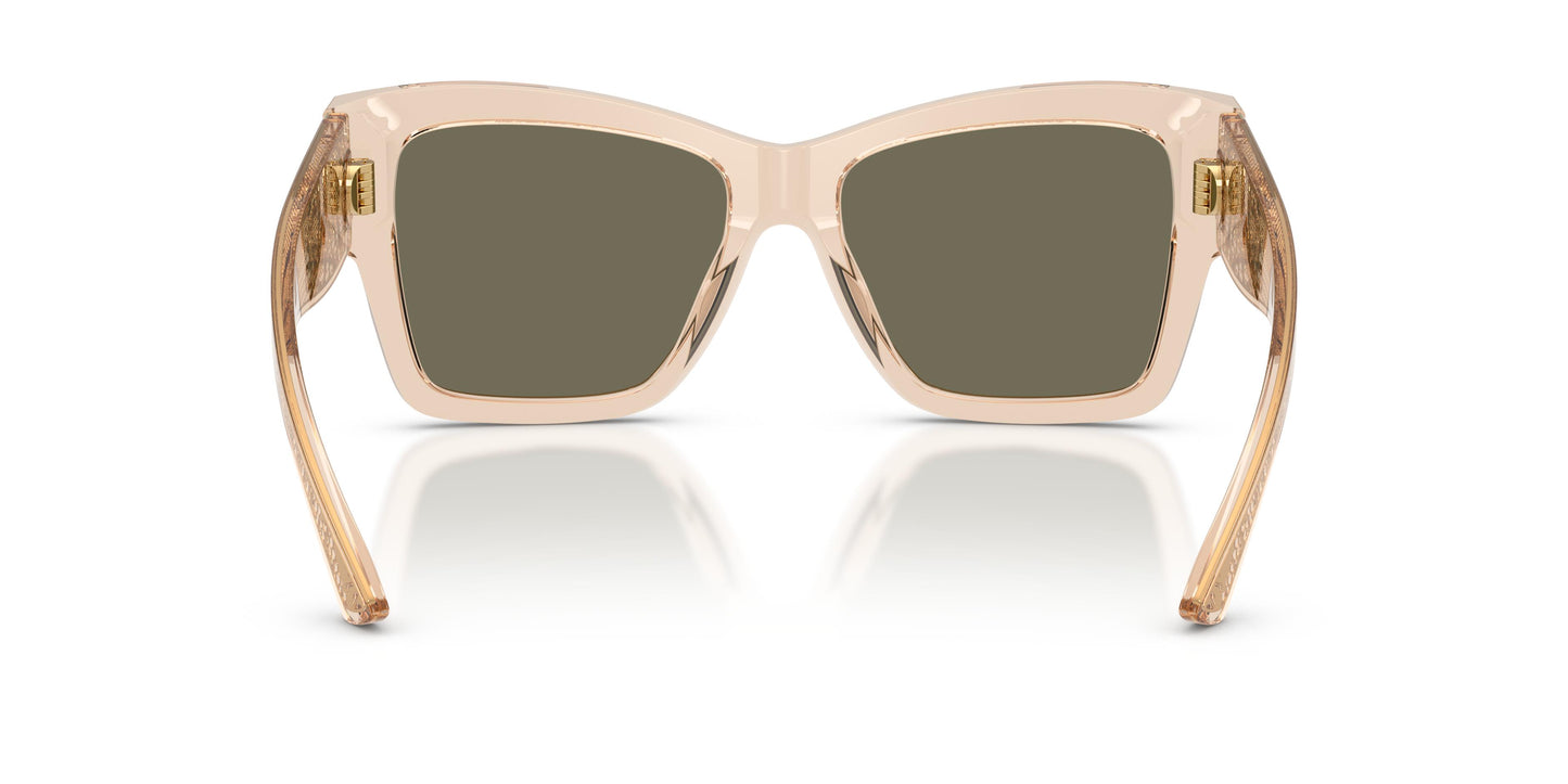 Dolce & Gabbana DG4493 343203 55