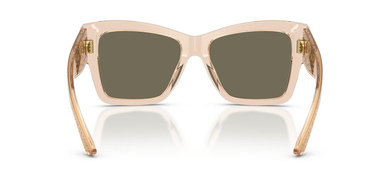 Dolce & Gabbana DG4493 343203 55