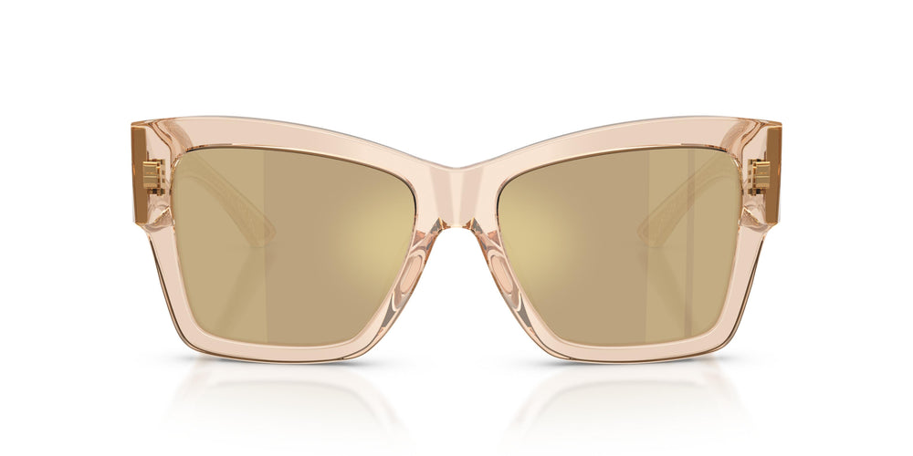 Dolce & Gabbana DG4493 343203 55