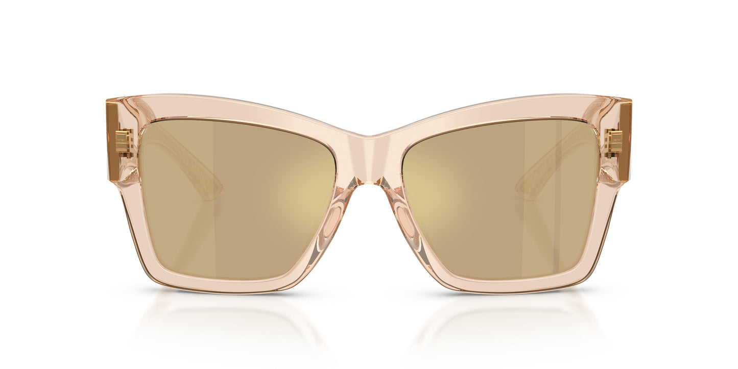 Dolce & Gabbana DG4493 343203 55
