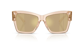 Dolce & Gabbana DG4493 343203 55