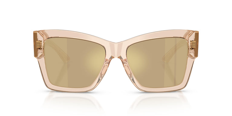 Dolce & Gabbana DG4493 343203 55