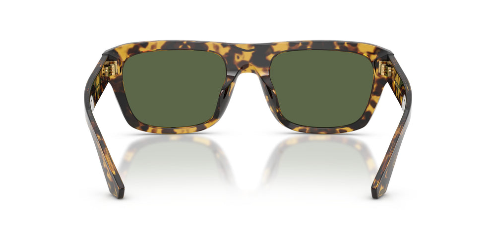 Dolce & Gabbana DG4496 333071 54