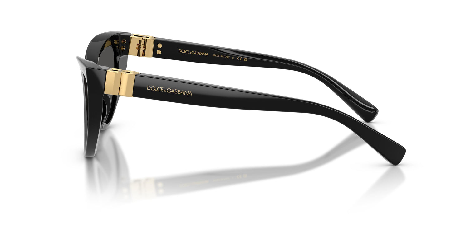 Dolce & Gabbana DG4497 501/87 52