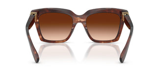 Dolce & Gabbana DG4498 322274 55