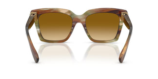 Dolce & Gabbana DG4498 34462L 55