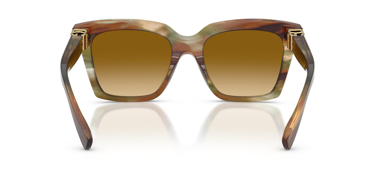 Dolce & Gabbana DG4498 34462L 55