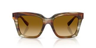 Dolce & Gabbana DG4498 34462L 55