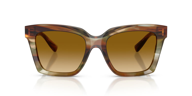 Dolce & Gabbana DG4498 34462L 55