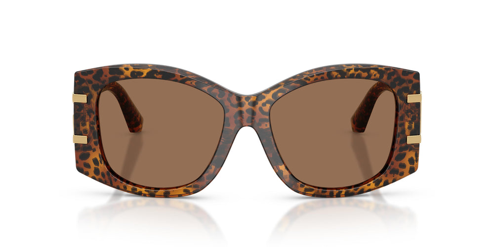 Dolce & Gabbana DG4501 347073 54