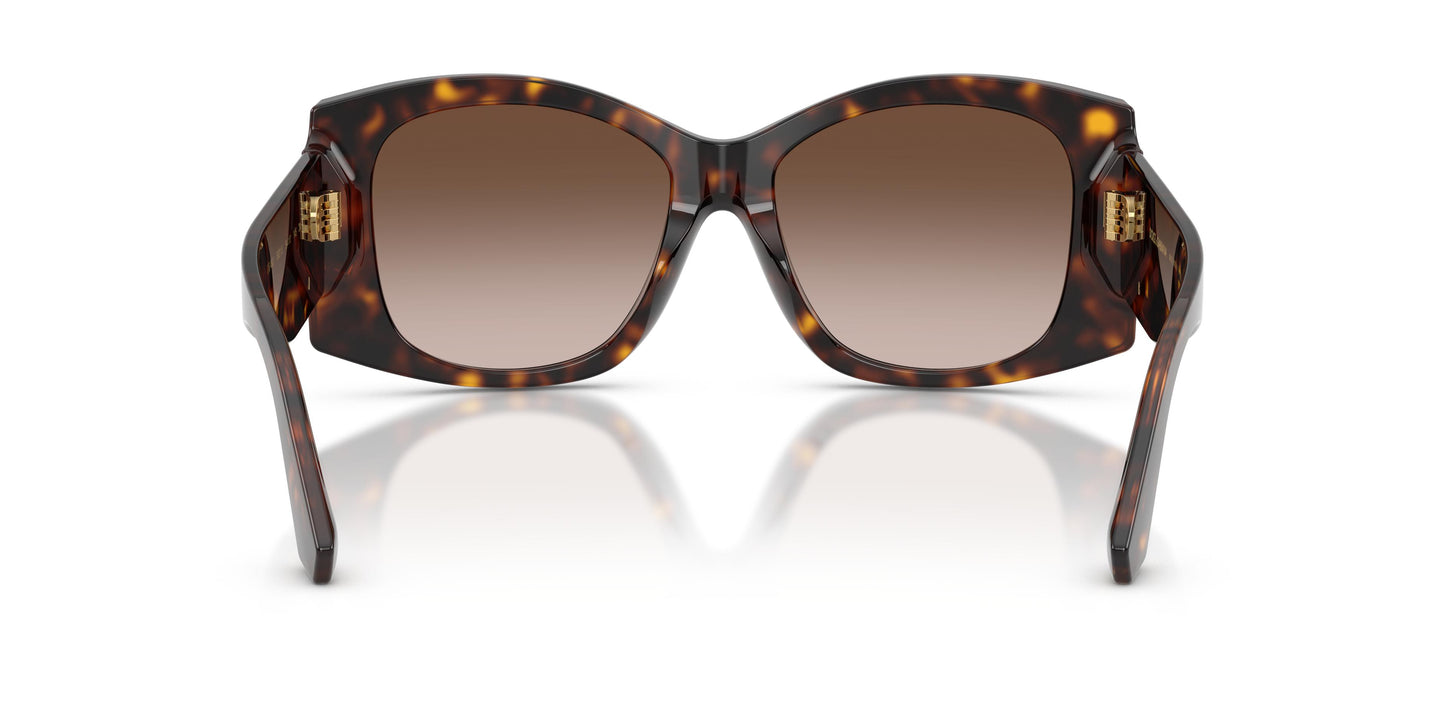 Dolce & Gabbana DG4501 502/13 54