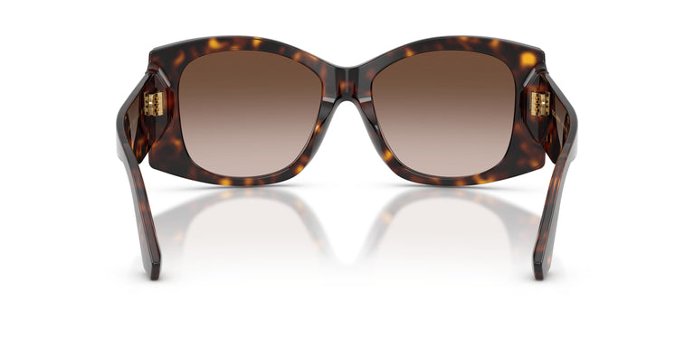 Dolce & Gabbana DG4501 502/13 54