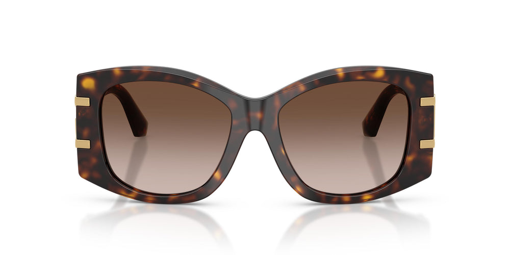 Dolce & Gabbana DG4501 502/13 54