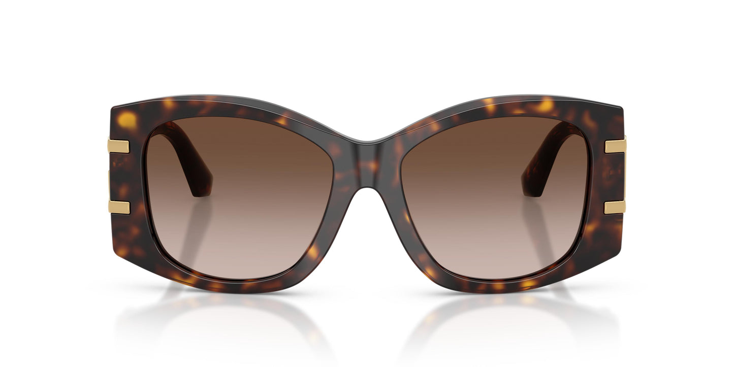 Dolce & Gabbana DG4501 502/13 54
